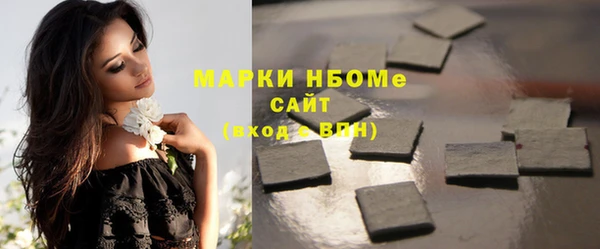 apvp Иннополис