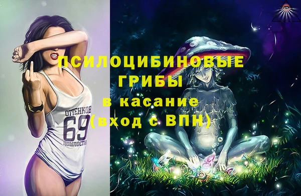 амф Инсар