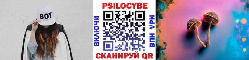 Псилоцибиновые грибы GOLDEN TEACHER  Белёв 